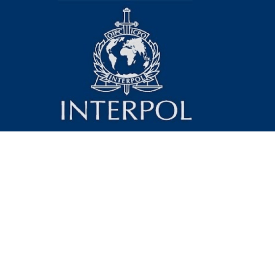 Interpol Cybercrime News